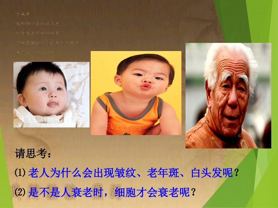 高中生物 专题6.3 细胞的衰老、凋亡与癌变优质课件 新人教版必修1_第2页