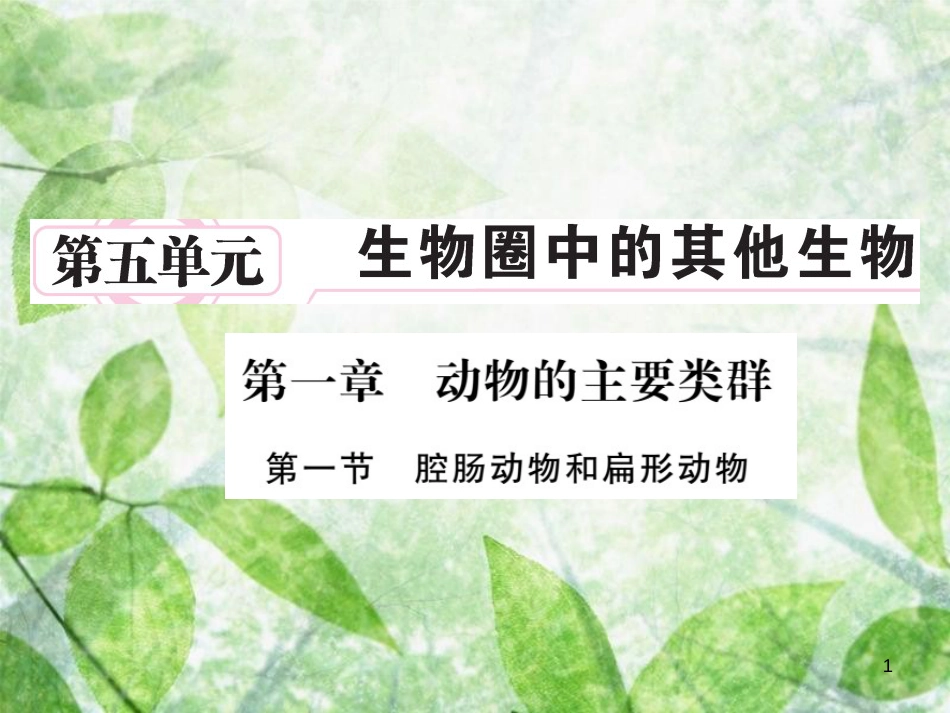 八年级生物上册 第五单元 第一章 第一节 腔肠动物和扁形动物习题优质课件 （新版）新人教版_第1页