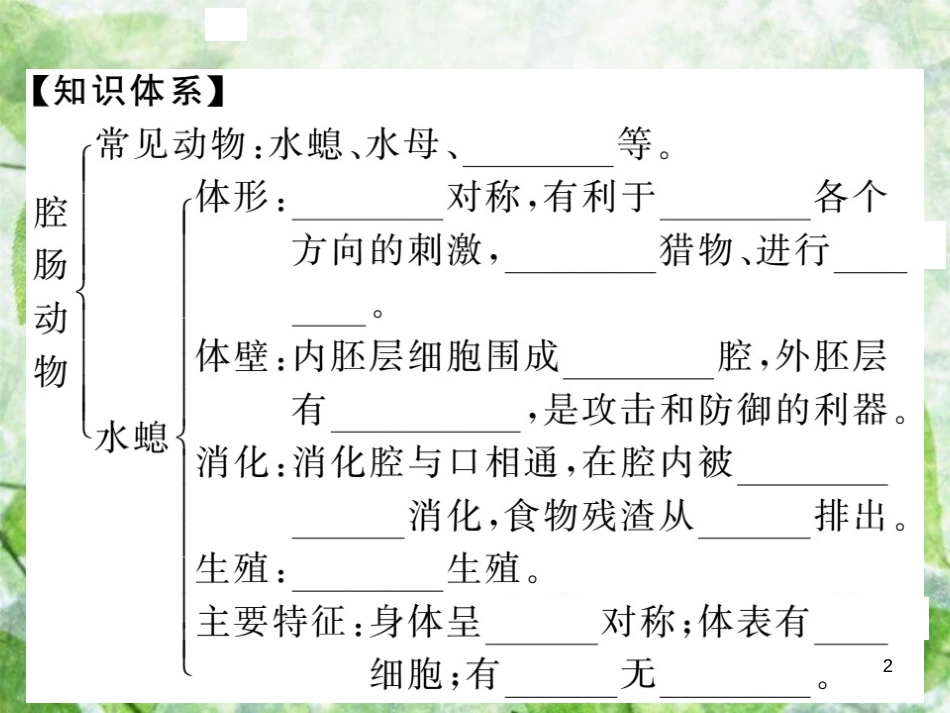八年级生物上册 第五单元 第一章 第一节 腔肠动物和扁形动物习题优质课件 （新版）新人教版_第2页