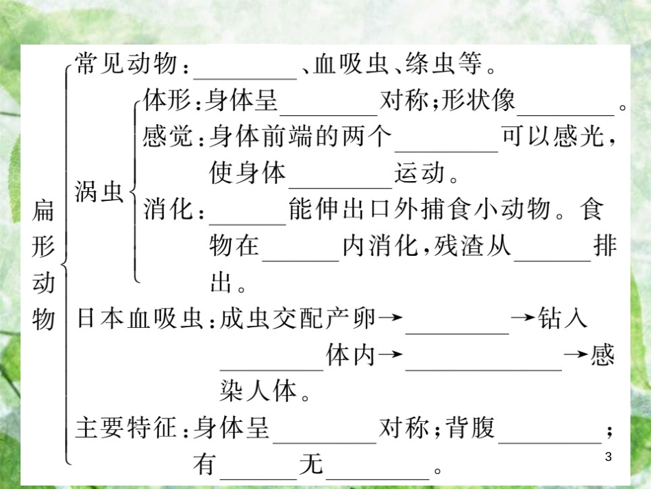 八年级生物上册 第五单元 第一章 第一节 腔肠动物和扁形动物习题优质课件 （新版）新人教版_第3页