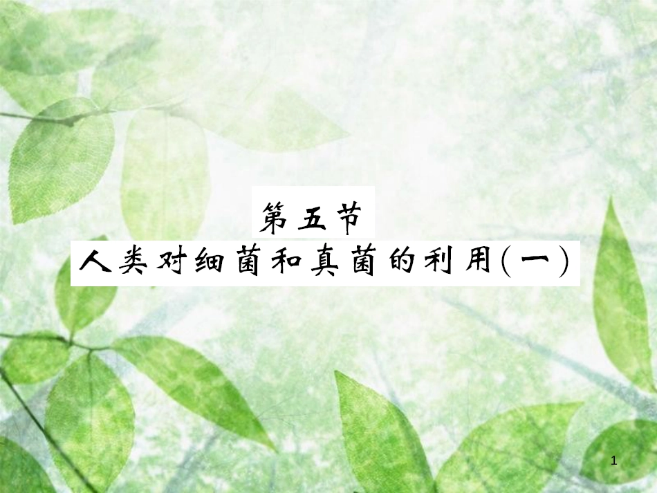 八年级生物上册 第五单元 第4章 第5节 人类对细菌和真菌的利用习题优质课件1 （新版）新人教版_第1页