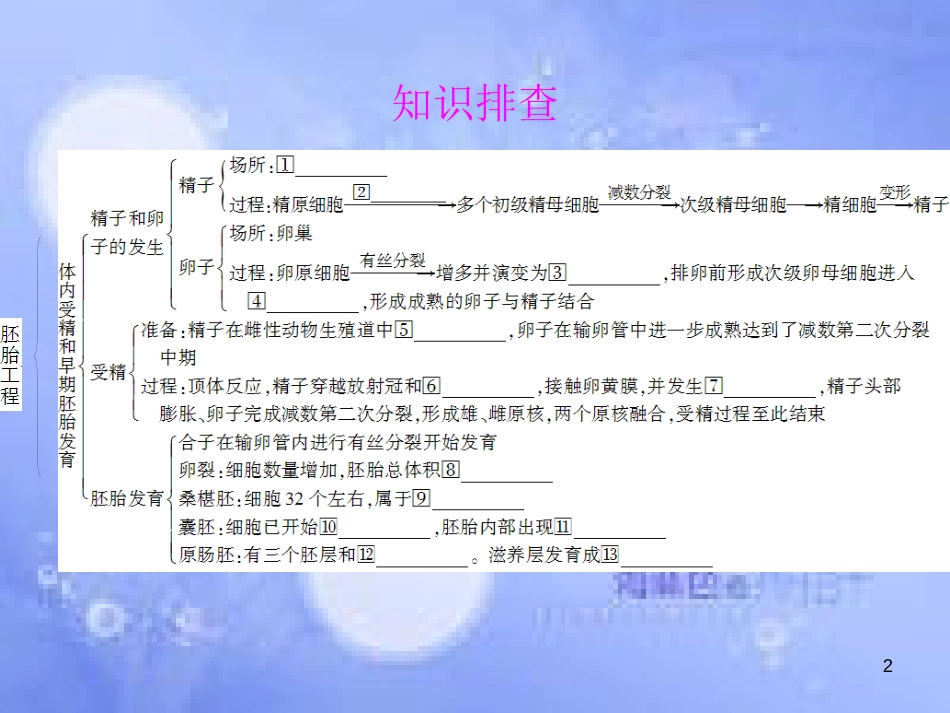 高三生物一轮复习 专题三 胚胎工程课件 新人教版选修3_第2页