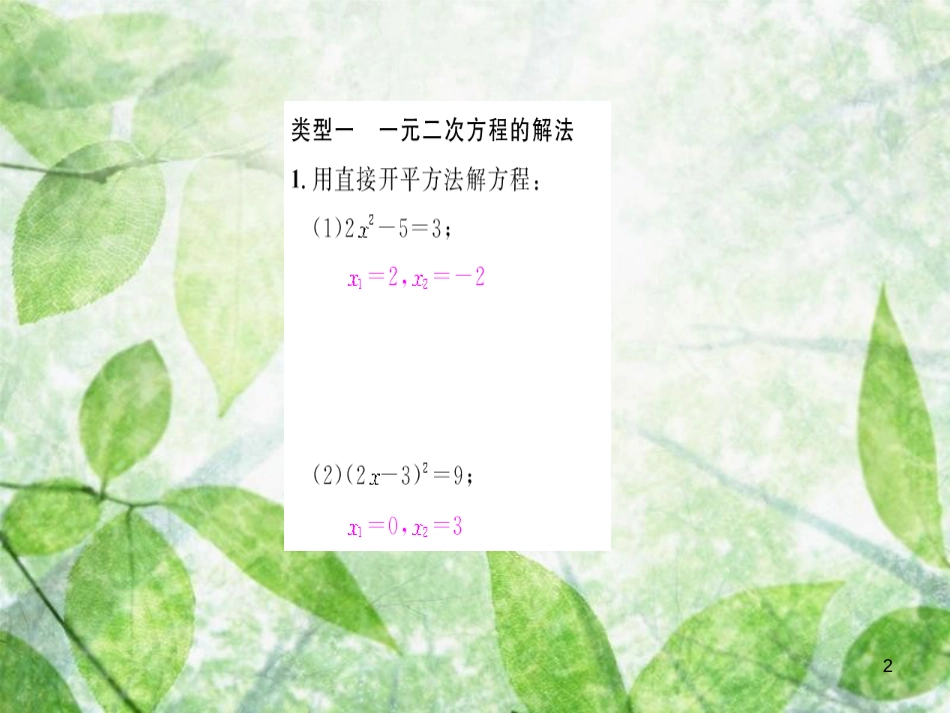 九年级数学上册 第二十一章 一元二次方程 专题强化（一）一元二次方程的解法及根的判别式习题优质课件 （新版）新人教版_第2页