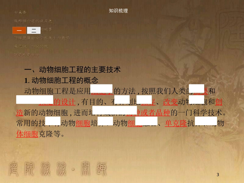 高中生物 第3章 细胞工程 3.2 动物细胞工程优质课件 北师大版选修3_第3页