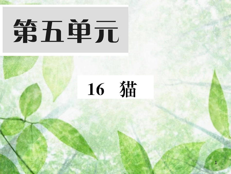 七年级语文上册 第五单元 16 猫习题优质课件 新人教版_第1页