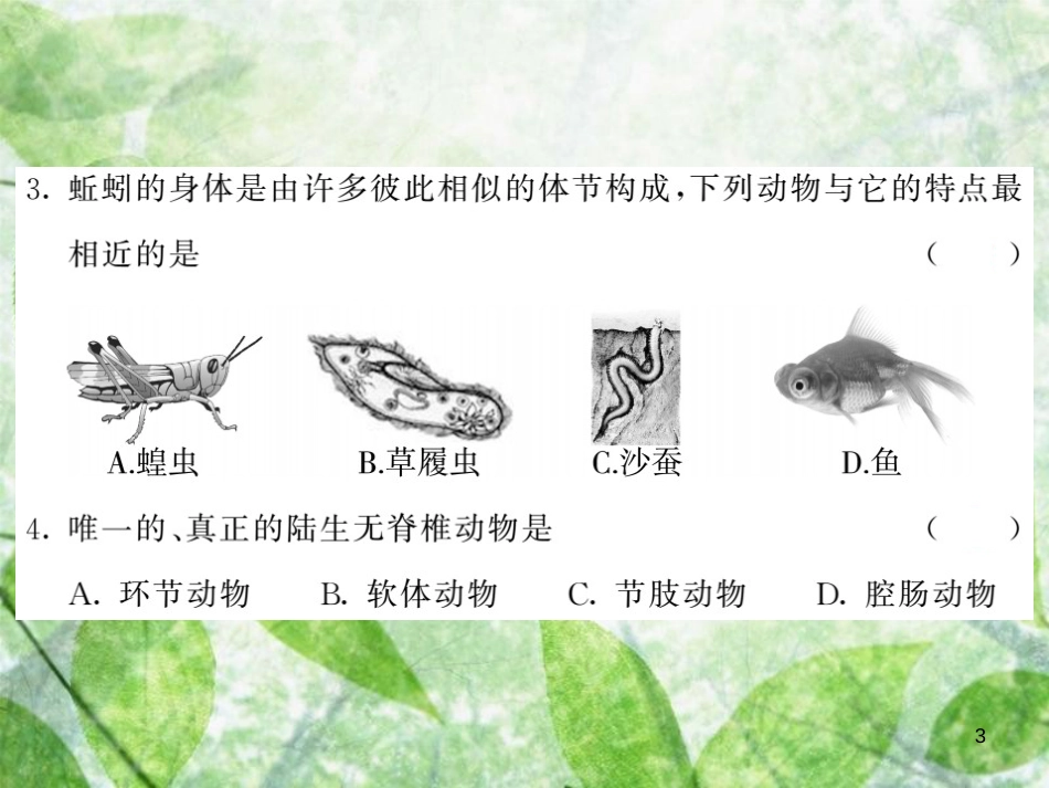 八年级生物上册 期末综合检测习题优质课件 （新版）新人教版_第3页