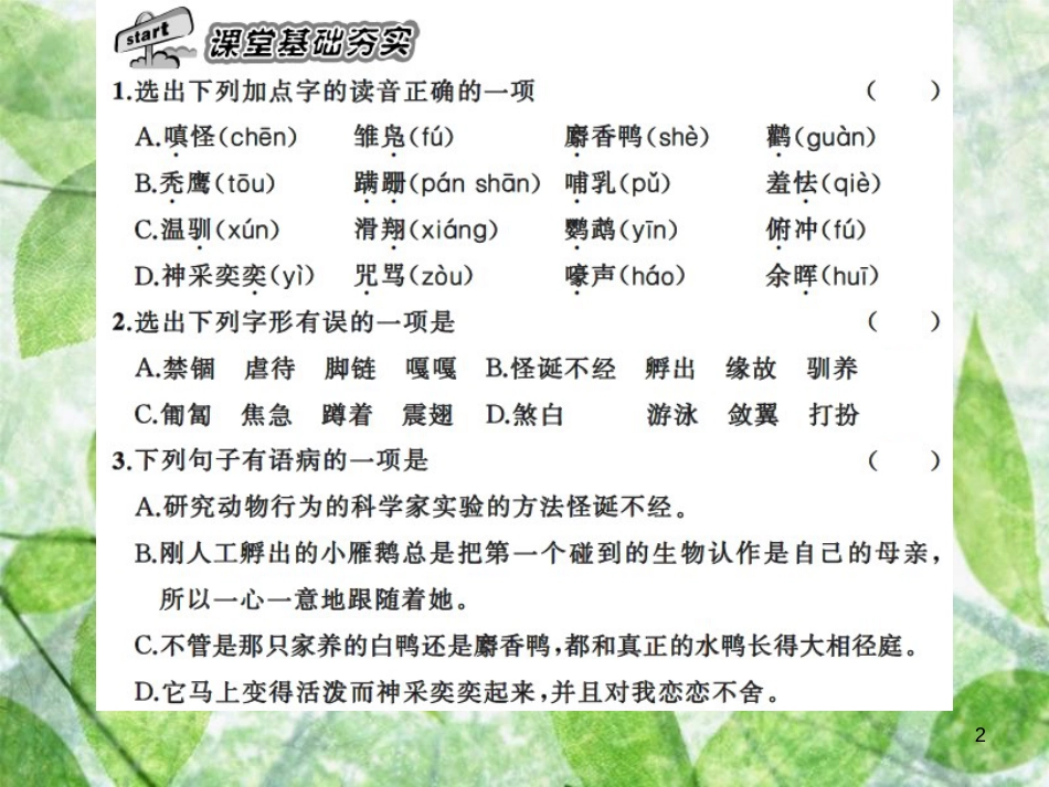 七年级语文上册 第五单元 17动物笑谈习题优质课件 新人教版_第2页