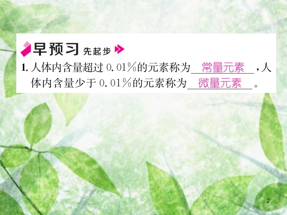 九年级化学下册 第12单元 化学与生活 课题2 化学元素与人体健康作业优质课件 （新版）新人教版_第2页