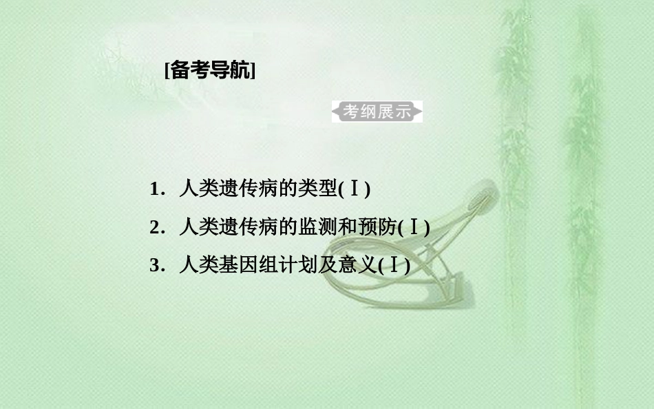 高中生物学业水平复习 专题十 人类遗传病 考点1 人类遗传病的类型优质课件_第1页