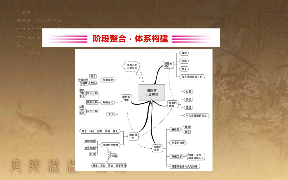 高中生物 第六章 细胞的生命历程阶段整合优质课件 新人教版必修1_第2页