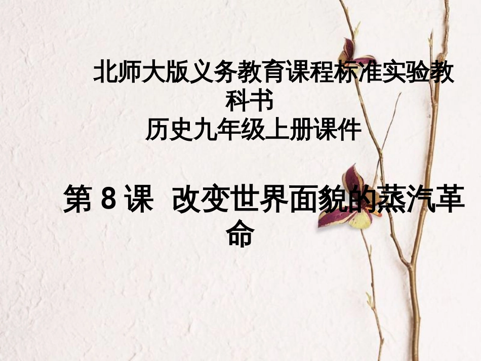 2017秋九年级历史上册 第二单元 近代社会的确立与动荡 第8课 改变世界面貌的蒸汽革命教学课件 北师大版[共38页]_第1页