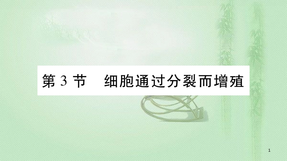 七年级生物上册 第二单元 第3章 第3节 细胞通过分裂而增殖习题优质课件 （新版）北师大版 (2)_第1页