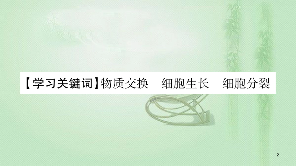七年级生物上册 第二单元 第3章 第3节 细胞通过分裂而增殖习题优质课件 （新版）北师大版 (2)_第2页