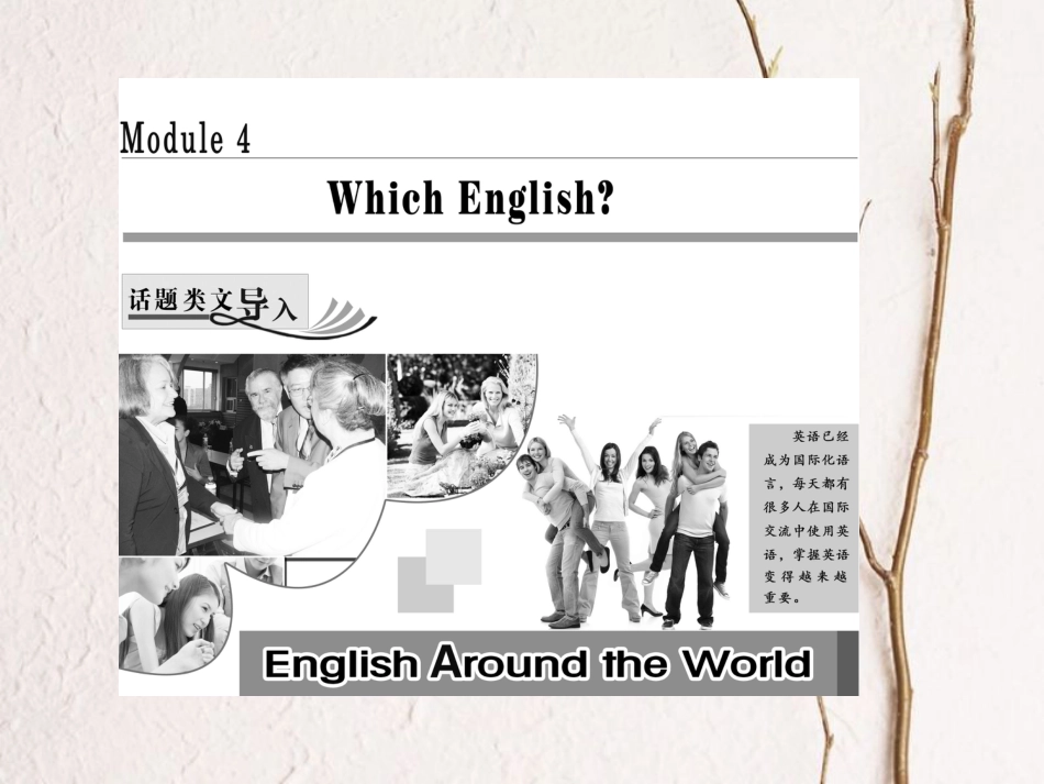 高中英语 Module 4 Which English Section Ⅰ Introduction &amp; Reading-Pre-reading课件 外研版选修8[共40页][共40页]_第1页