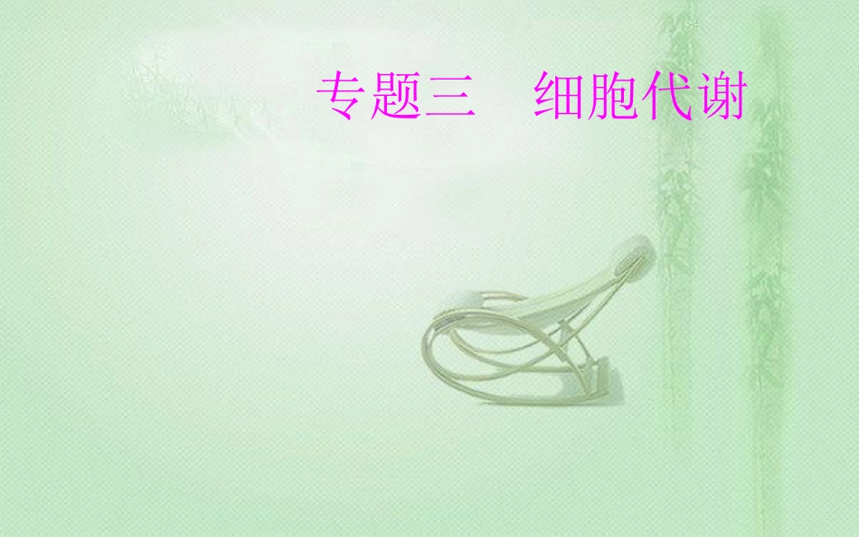 高中生物学业水平复习 专题三 细胞代谢 考点4 细胞呼吸优质课件_第1页