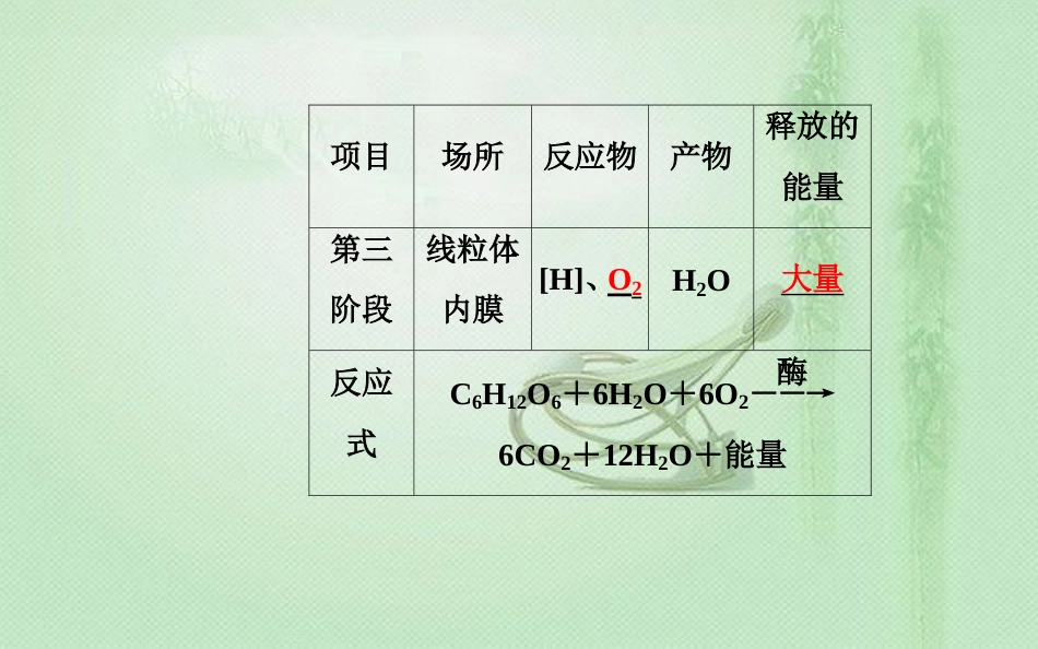 高中生物学业水平复习 专题三 细胞代谢 考点4 细胞呼吸优质课件_第3页