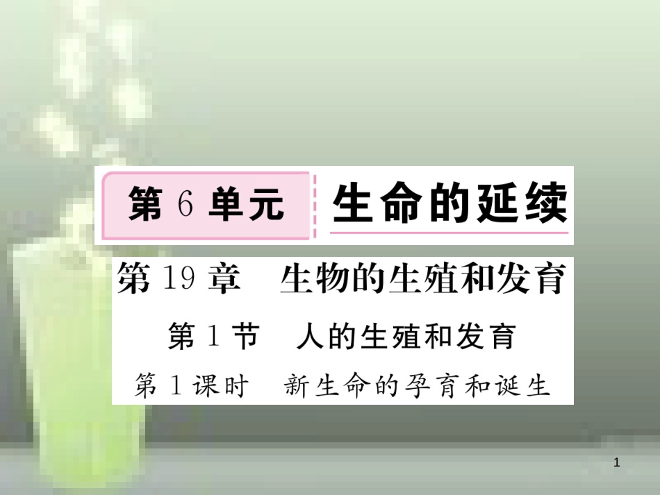 八年级生物上册 6.19.1 人的生殖和发育（第1课时 新生命的孕育和诞生）优质课件 （新版）北师大版_第1页