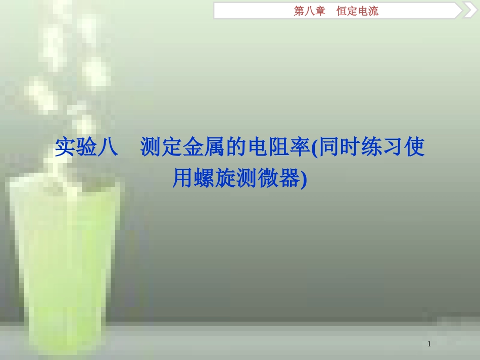 （新课标）2019届高考物理一轮复习 第8章 恒定电流 实验八优质课件_第1页