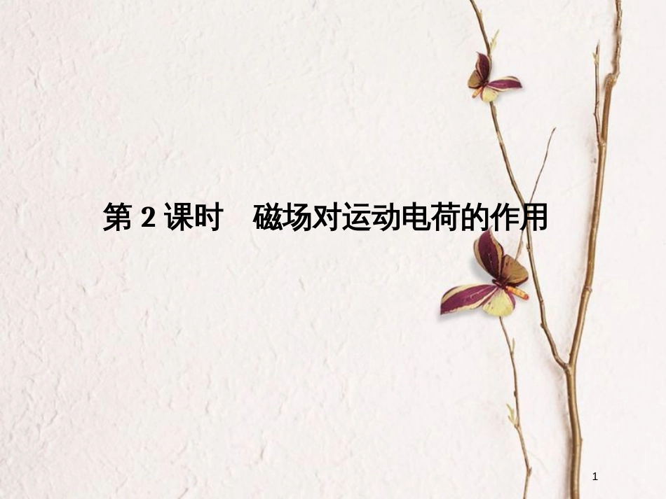 （浙江专版）高考物理大一轮复习 第八章 磁场 第2课时 磁场对运动电荷的作用课件_第1页