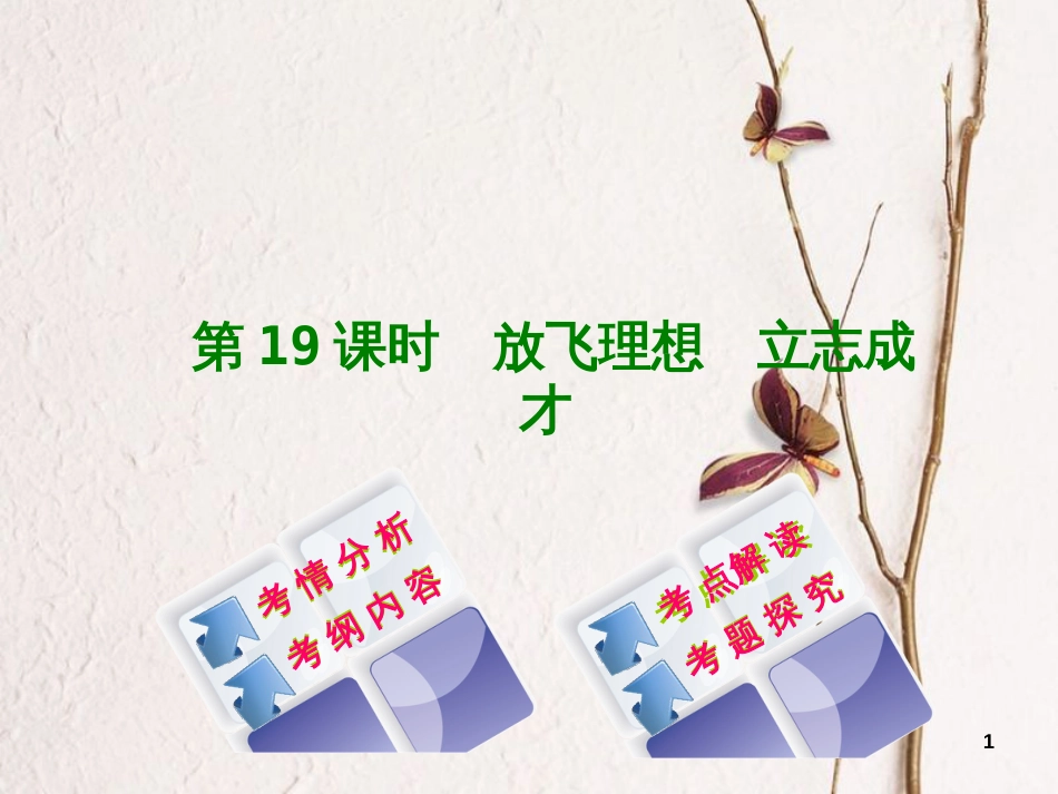 （淮安专版）中考政治复习方案 教材梳理篇 第19课时 放飞梦想 立志成才课件_第1页