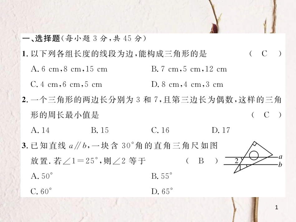 （毕节专版）七年级数学下册 第4章 三角形达标测试卷作业课件 （新版）北师大版_第1页