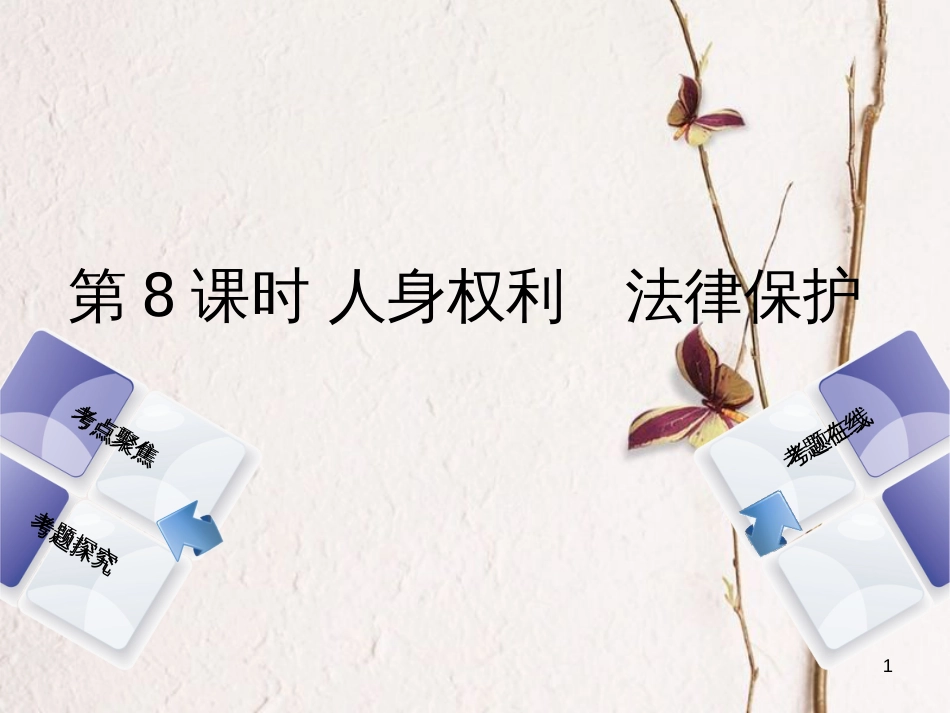 （河北专版）中考政治复习方案 第三单元 行使权利 依法维权 第8课时 人身权利 法律保护课件_第1页