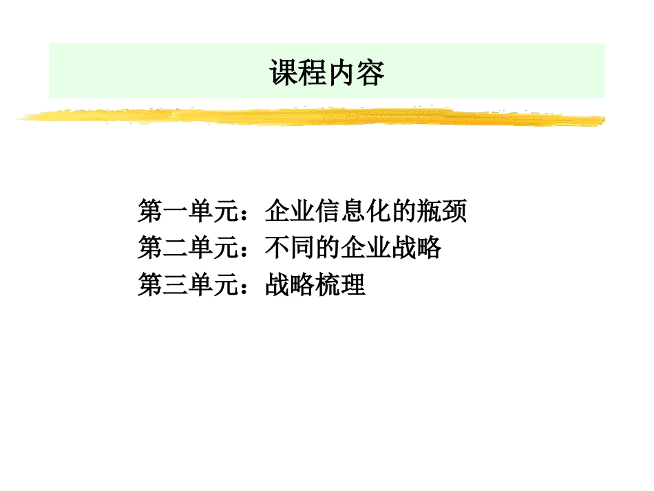 企业战略与企业信息化[共50页]_第2页