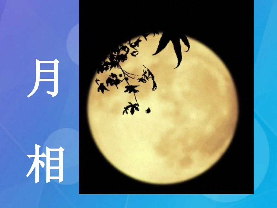 七年级科学下册 4.4《月相》课件2 浙教版_第1页