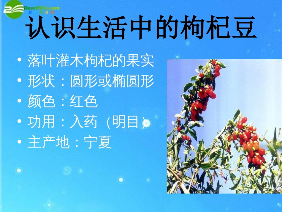 七年级语文下册第七课《三颗枸杞豆》课件0_第3页