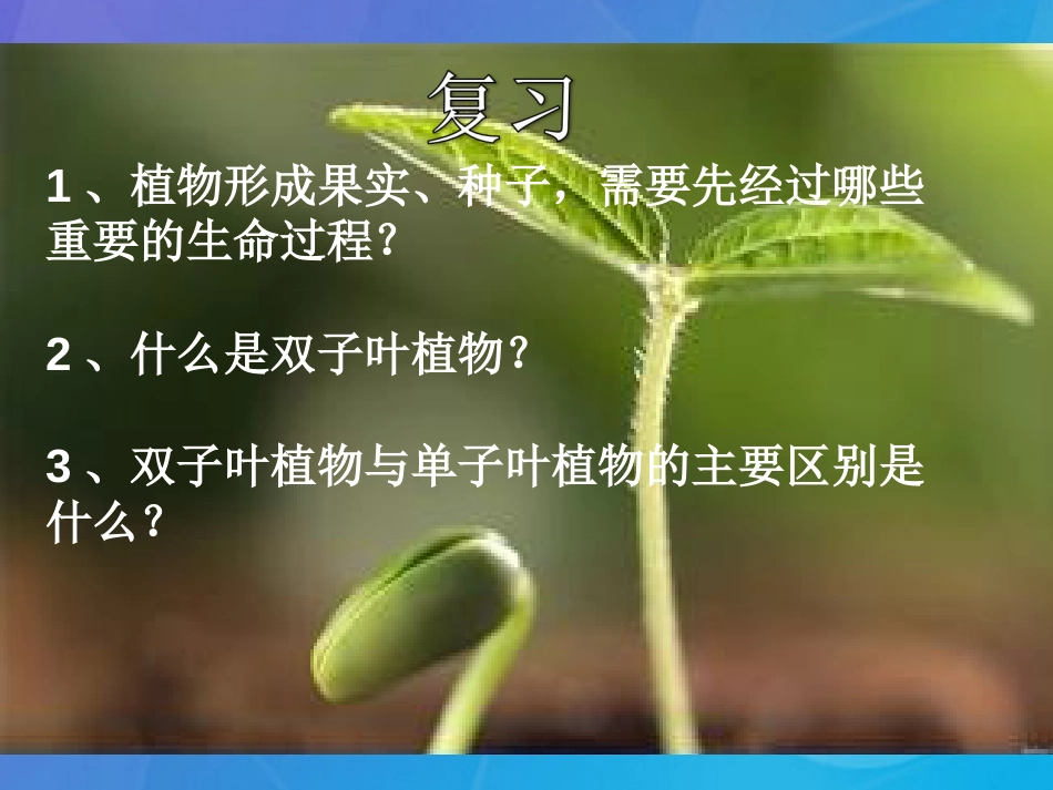 七年级科学下册 7.2《种子的结构》课件2 （新版）华东师大版_第1页