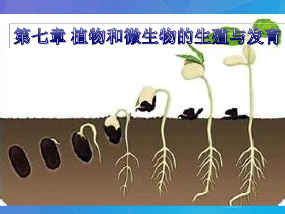 七年级科学下册 7.2《种子的结构》课件2 （新版）华东师大版_第2页