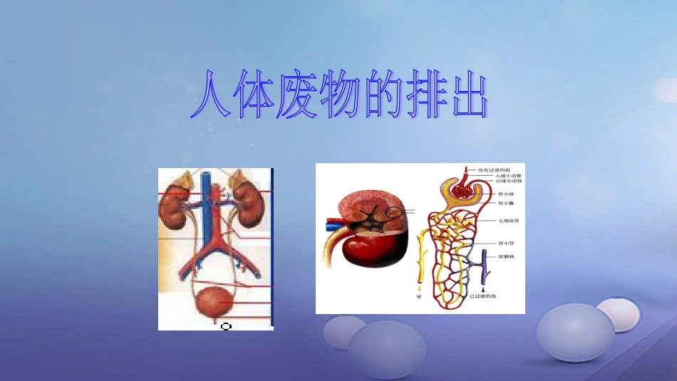 七年级生物下册 4.11.2人体废物的排出课件 苏教版_第1页