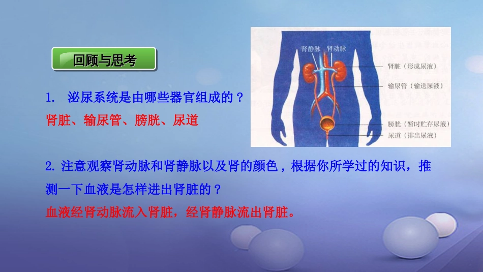 七年级生物下册 4.11.2人体废物的排出课件 苏教版_第2页