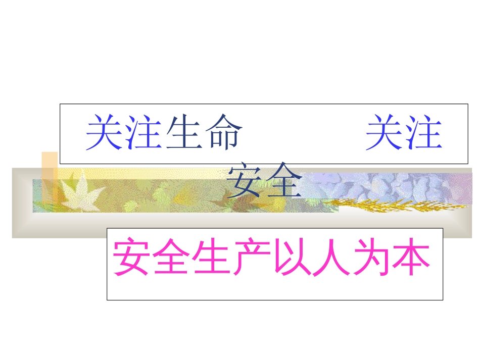 安全生产用语[共18页]_第2页