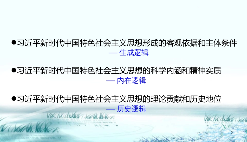 习近平新时代中国特色社会主义思想[共71页]_第2页