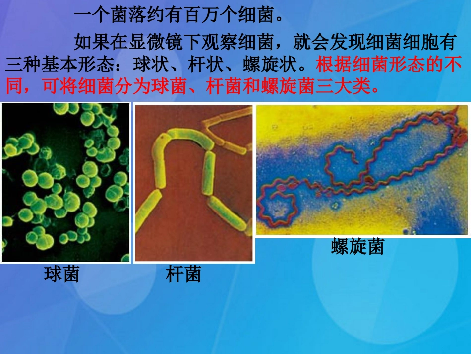 七年级科学下册 1.6《细菌和真菌的繁殖》课件1 浙教版_第3页