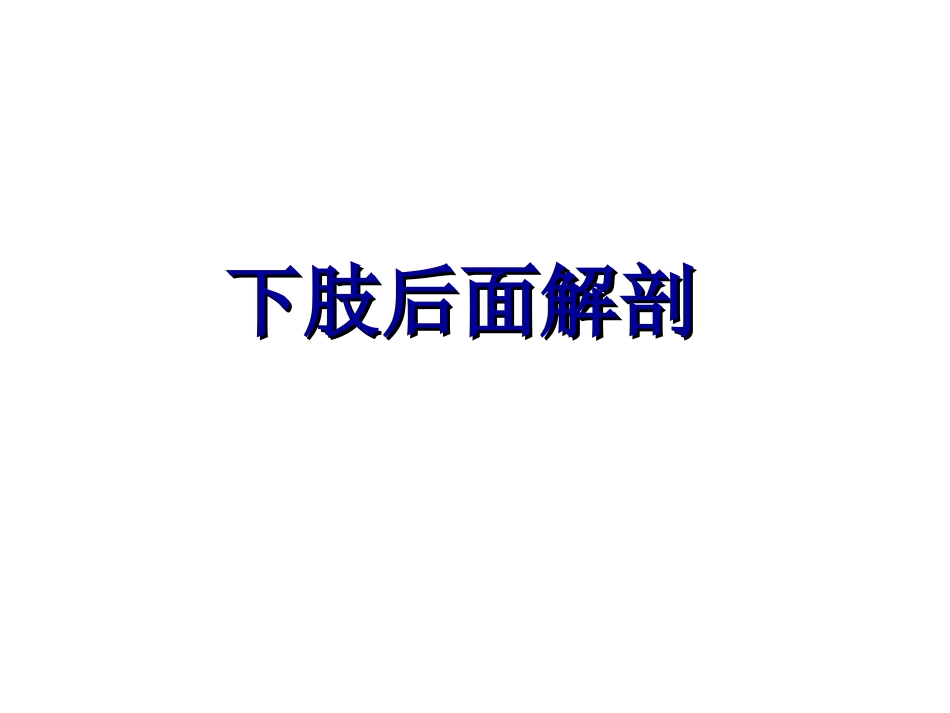 6下肢后面[共20页]_第1页