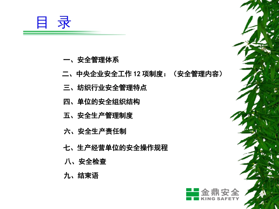 安全管理及制度ppt 29页_第2页