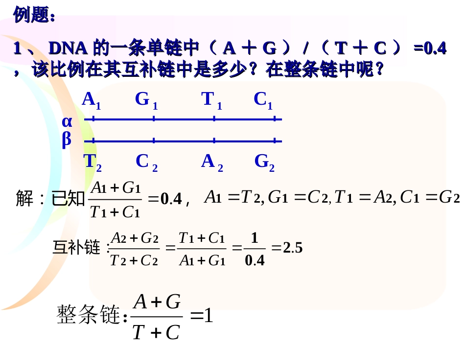 DNA分子相关计算[共22页]_第2页