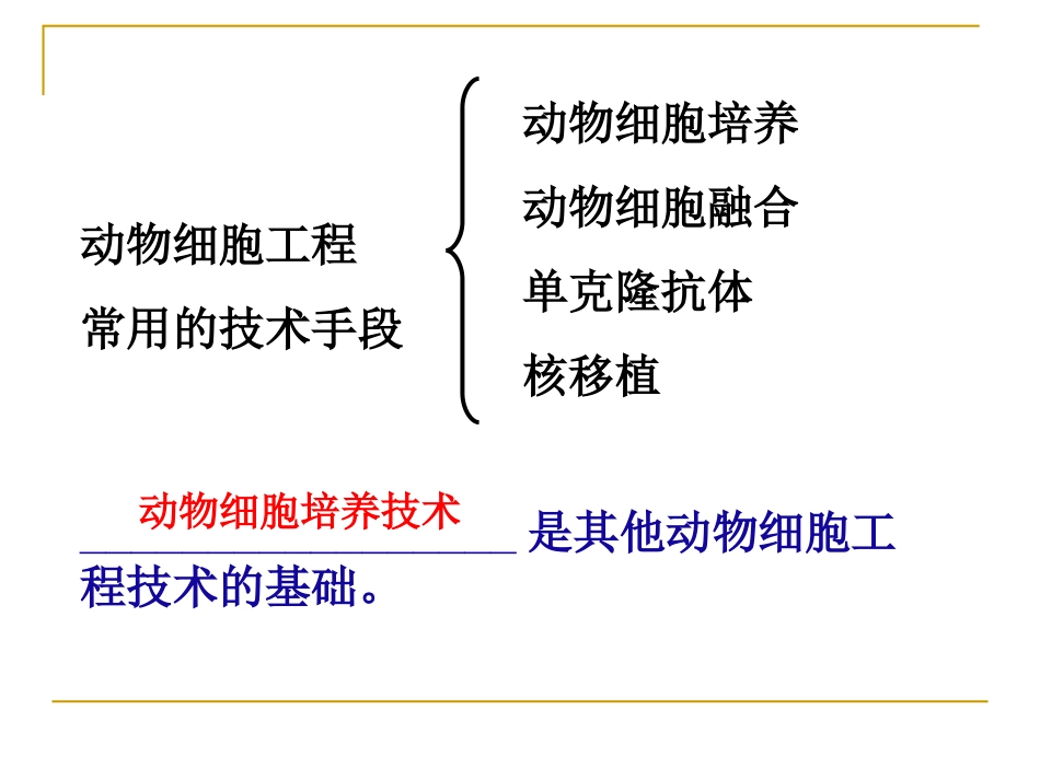 一轮复习动物细胞工程_第2页