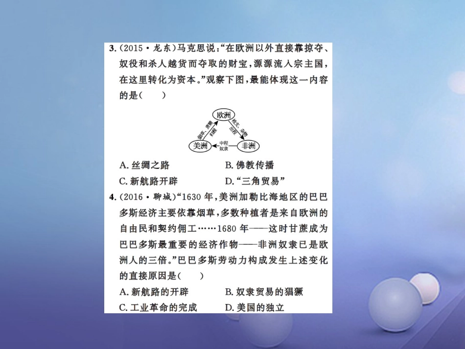 中考历史总复习 模块五 世界近代史 第二单元 殖民扩张与殖民地人民的抗争课时提升课件_第3页