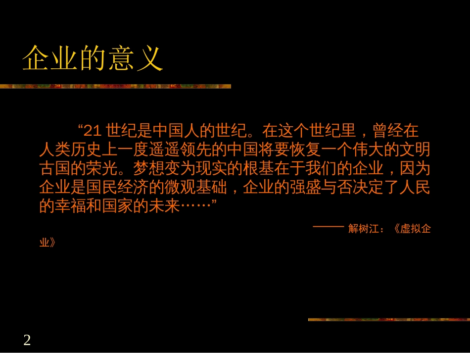 企业成长战略（解树江博士、副市长）(1)_第2页