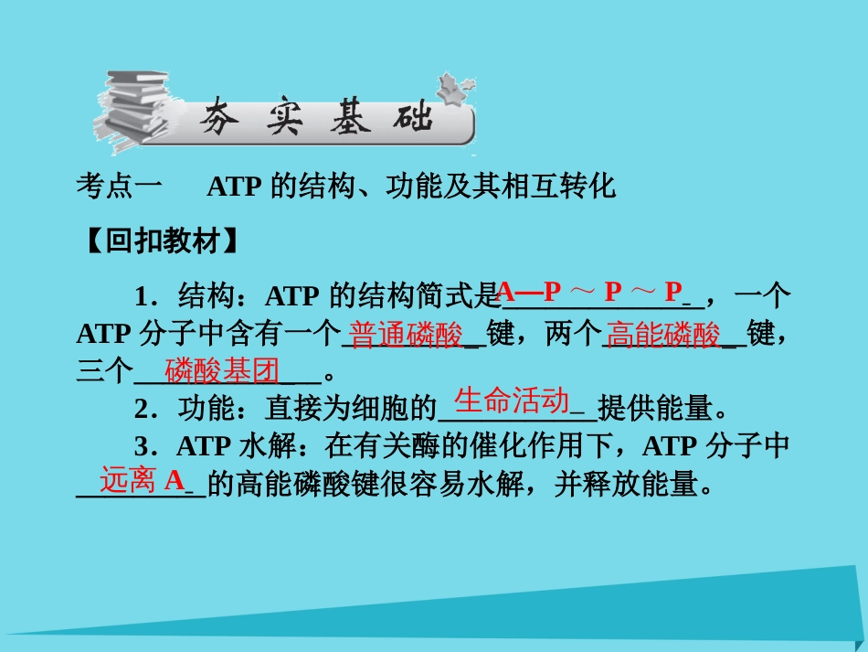 届高考高考生物一轮复习 第五章 细胞的能量供应和利用（第十课时）第2、3节 细胞的能量“通货”ATP、ATP的主要来源细胞呼吸（1）（细胞呼吸类型及过程）课件 新人教版必修_第3页