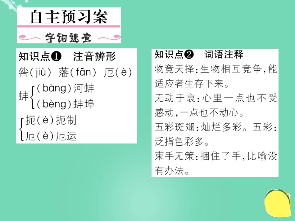 八年级语文上册 第四单元 19《生物入侵者》课件 （新版）新人教版_第2页