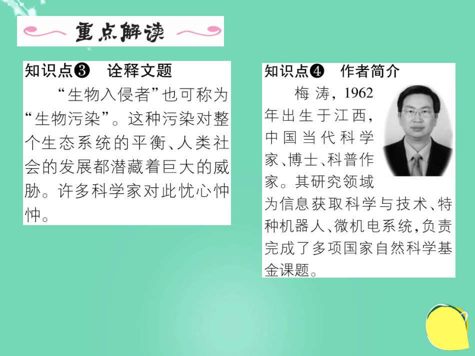 八年级语文上册 第四单元 19《生物入侵者》课件 （新版）新人教版_第3页