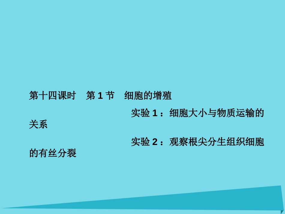 届高考高考生物一轮复习 第六章 细胞的生命历程（第十四课时）第1节 细胞的增殖 实验1细胞大小与物质运输的关系 实验2观察根尖分生组织细胞的有丝分裂课件 新人教版必修_第2页