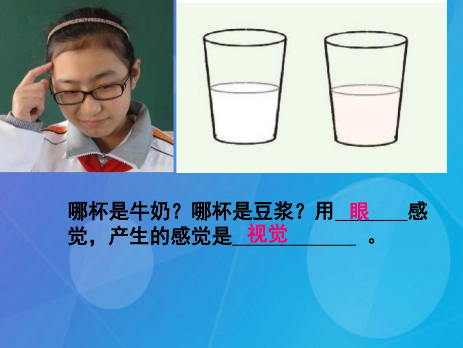 七年级科学下册 2.1《感觉世界》课件5 浙教版_第2页