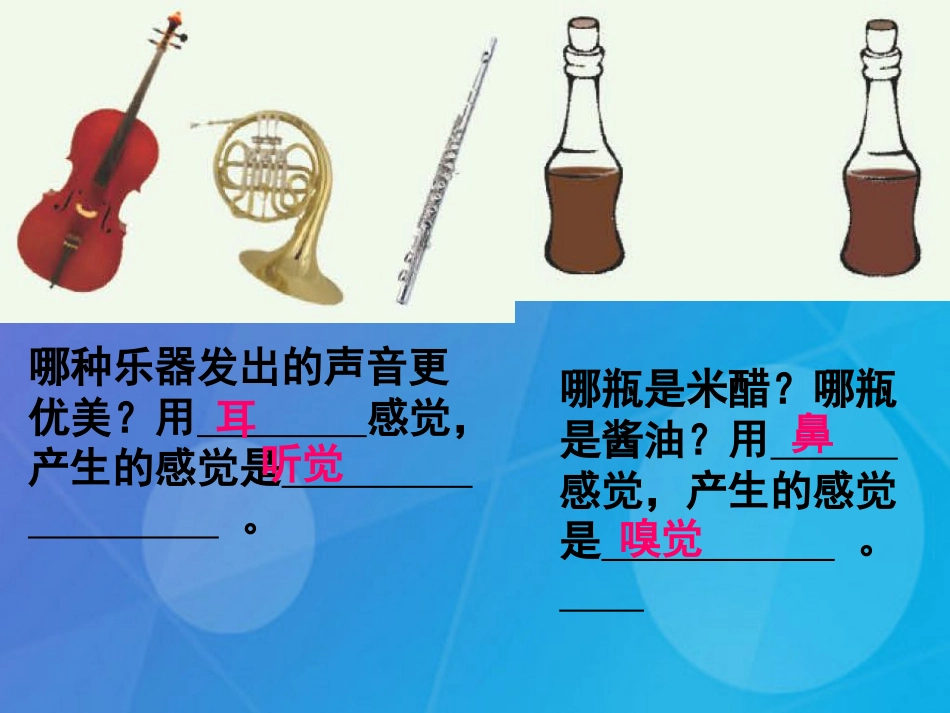 七年级科学下册 2.1《感觉世界》课件5 浙教版_第3页