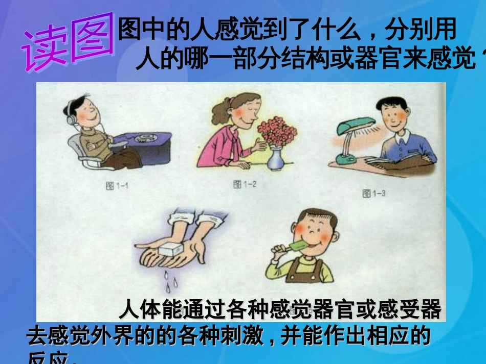 七年级科学下册 第二章《对环境的察觉》复习课件 浙教版_第3页