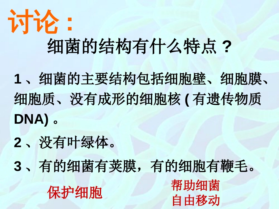 七年级科学下册 1.6《细菌和真菌的繁殖》课件5 浙教版_第3页
